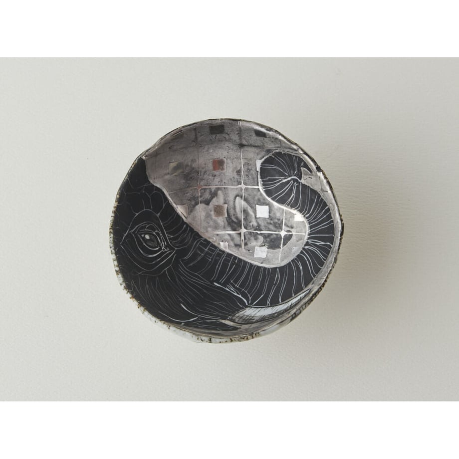 64cc9320f55a3000389b3916