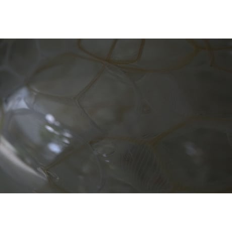 有永 浩太　　netz 黄白