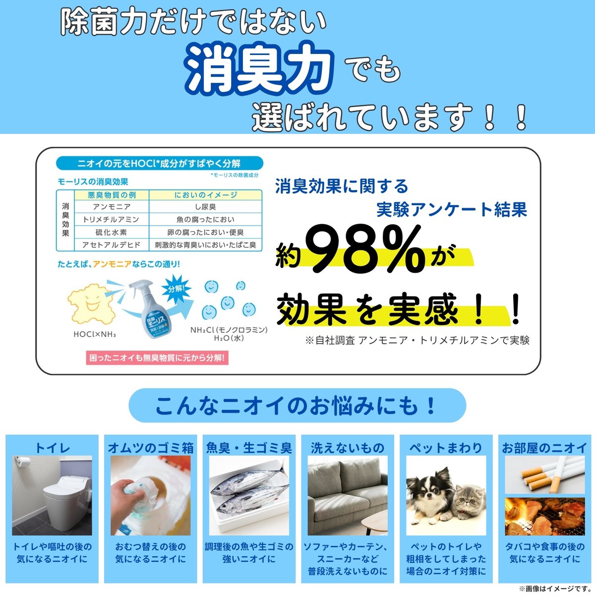 モーリス20L | モーリス SHOP (公式）