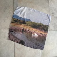 swan lake scarf