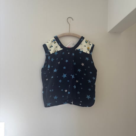 fleece vest/blue