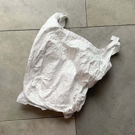Tyvek®️Register Bag