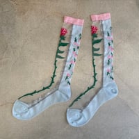 Rose socks