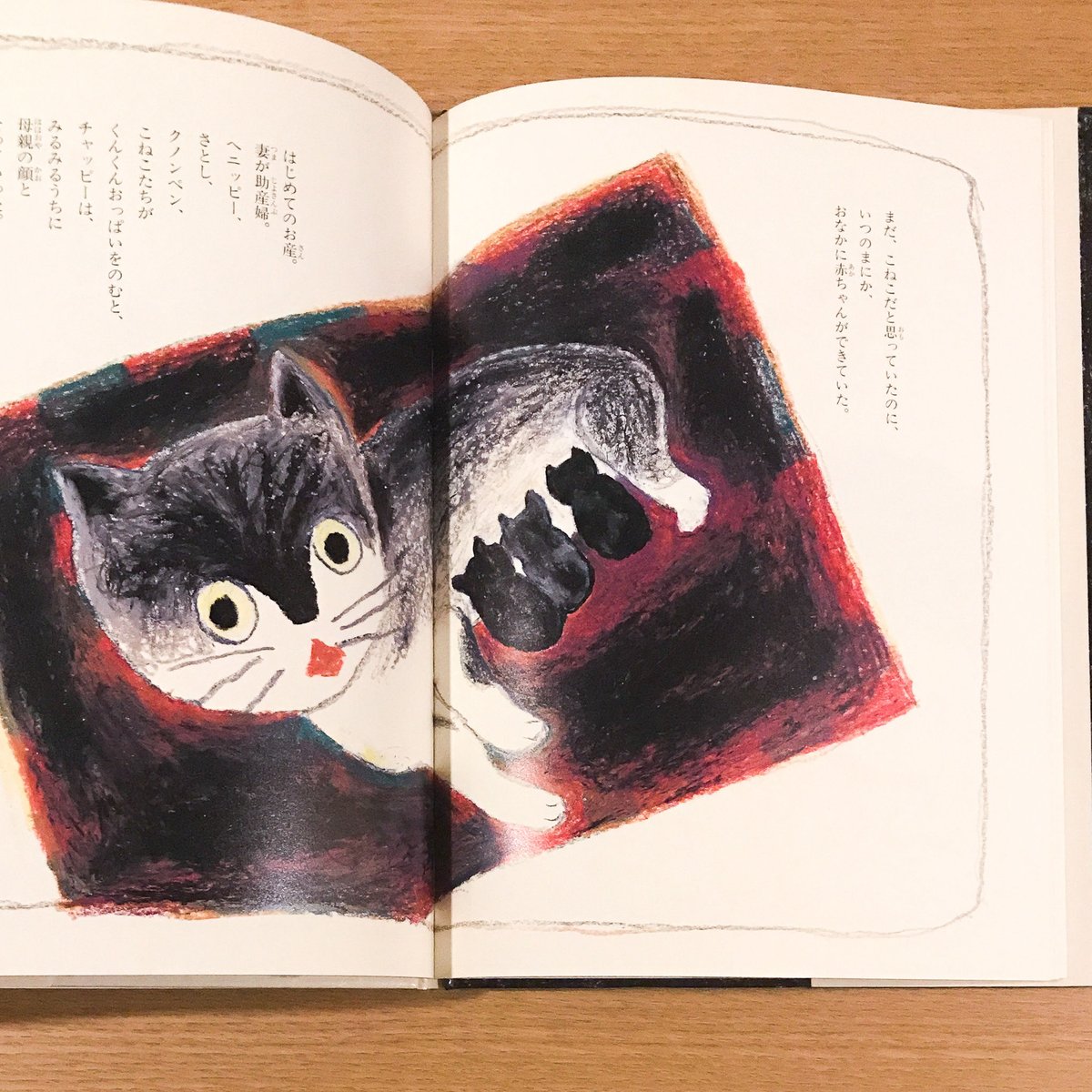 ねこのチャッピー | タバネルブックス