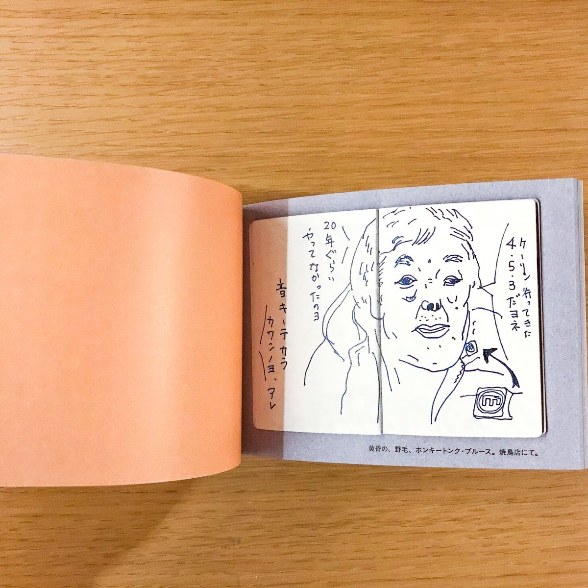 スパイ手帳 | タバネルブックス スパイ手帳 | タバネルブックス