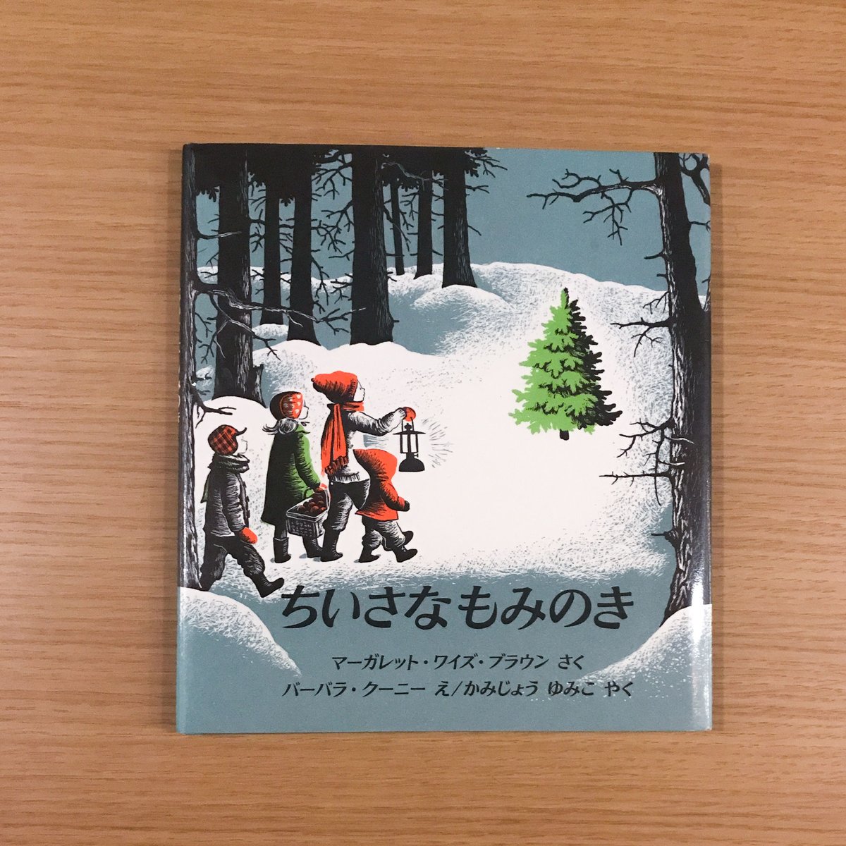 完売 【天然＊野生の小さな小さな樅の木さん】もみの木/生まれたて