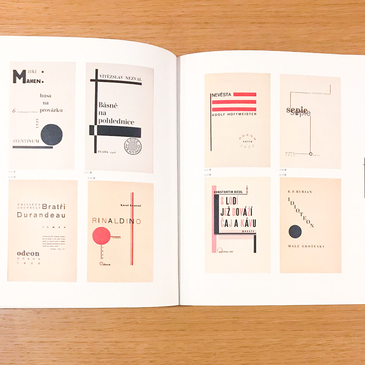 チャペック兄弟とチェコ・アヴァンギャルド | タバネルブックス