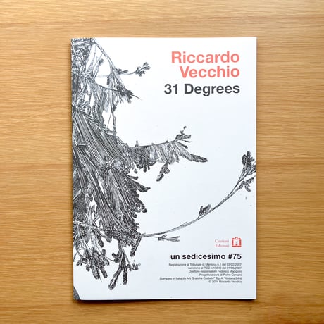 Un Sedicesimo 75 31 Degrees