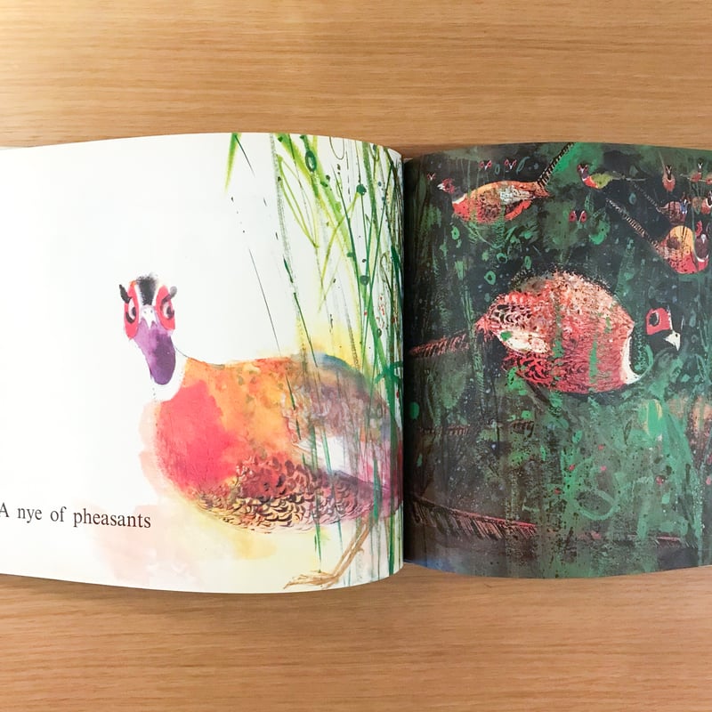 Birds by Brian Wildsmith | タバネルブックス