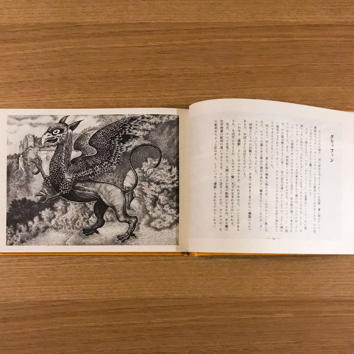 妖怪事典 Amazon.com: クセがつよい妖怪事典: 9784092272033: 左古文男: Books