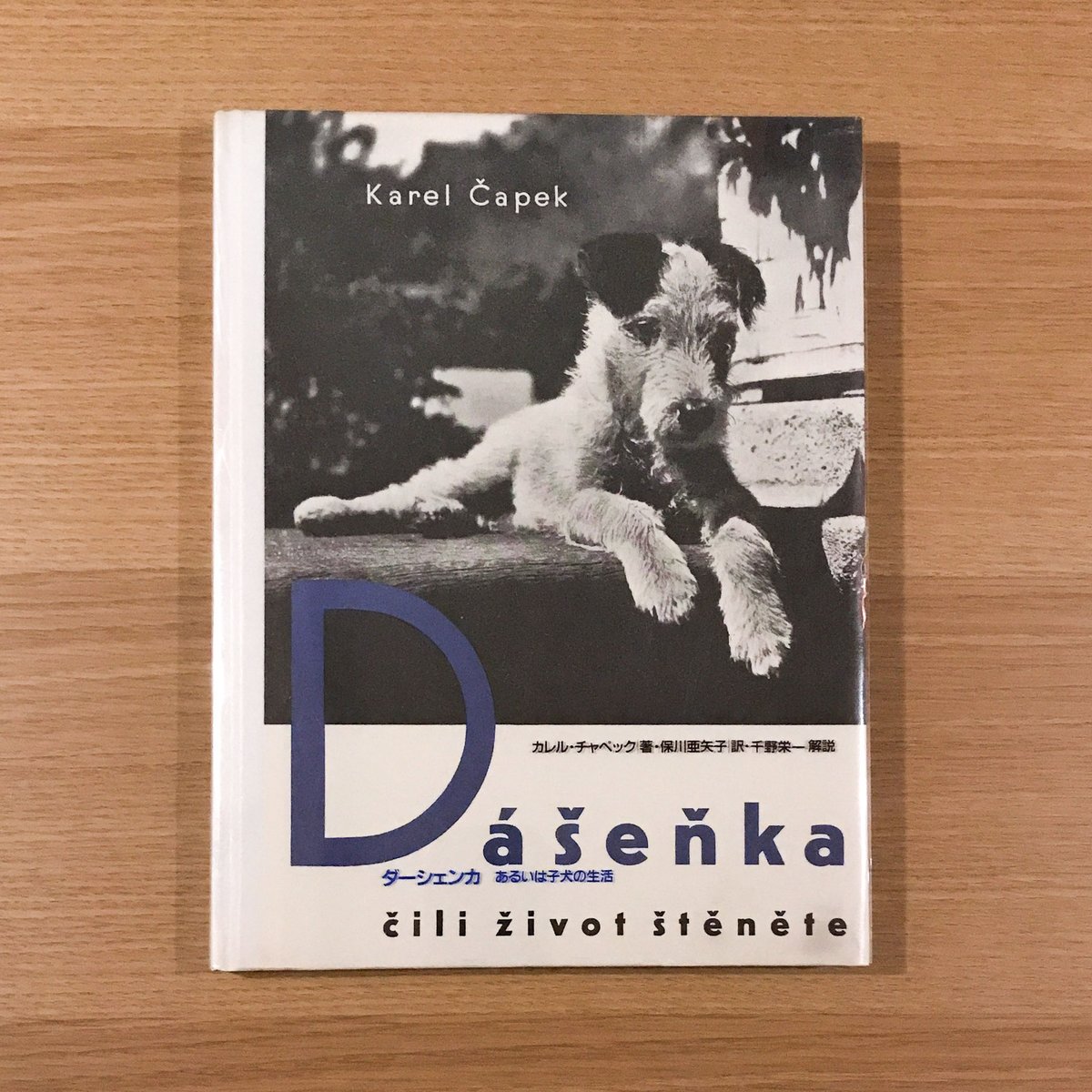 稀少本 チェコ カレルチャペック DASENKA ダーシェンカ ダーシェンカ | チャペック,カレル, Karel Capek |本 | 通販