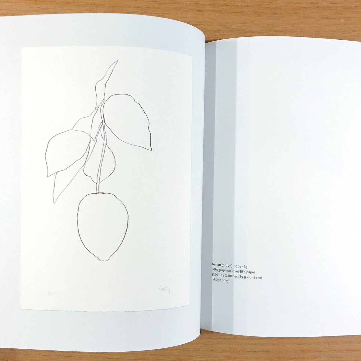 Ellsworth Kelly Plant Lithograエルズワース・ケリー Ellsworth Kelly: Plant Lithographs 1973-1997 - 本まるさん
