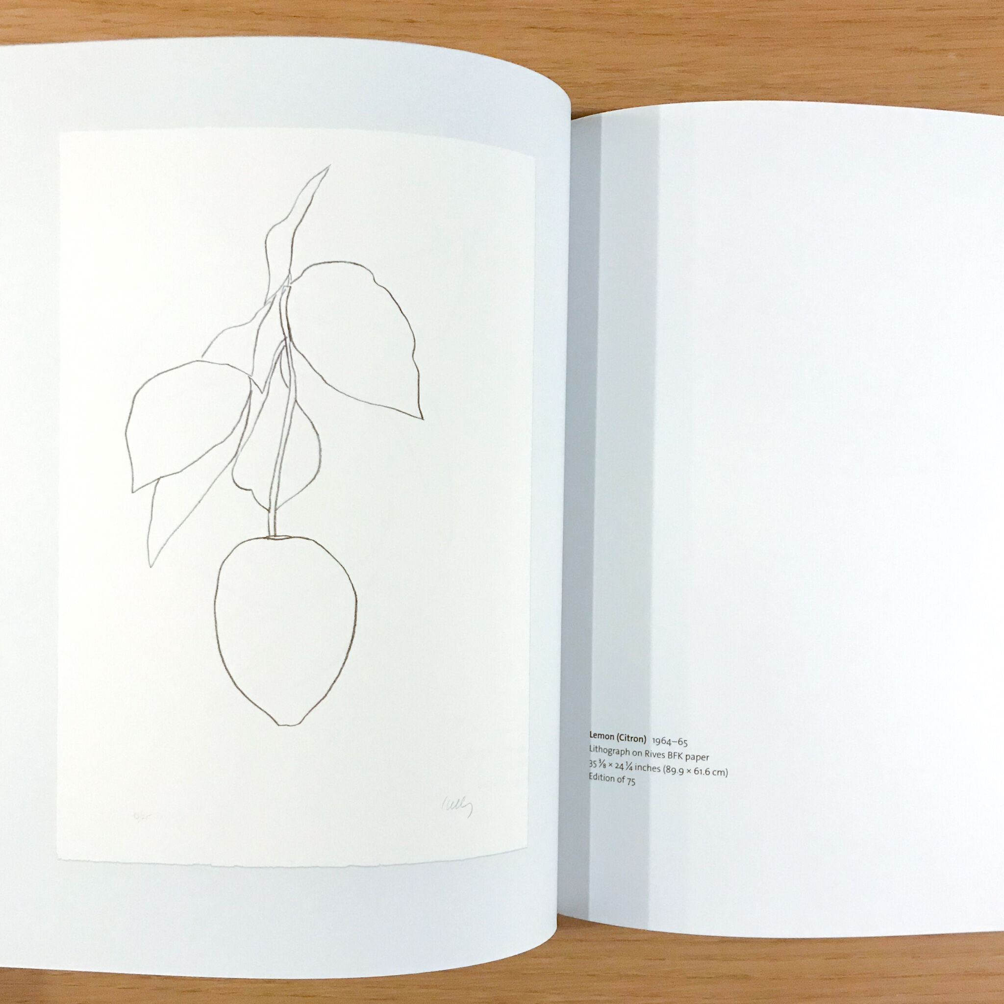 Ellsworth Kelly Plant Lithograエルズワース・ケリー Plant Lithographs Ellsworth Kelly | タバネルブックス