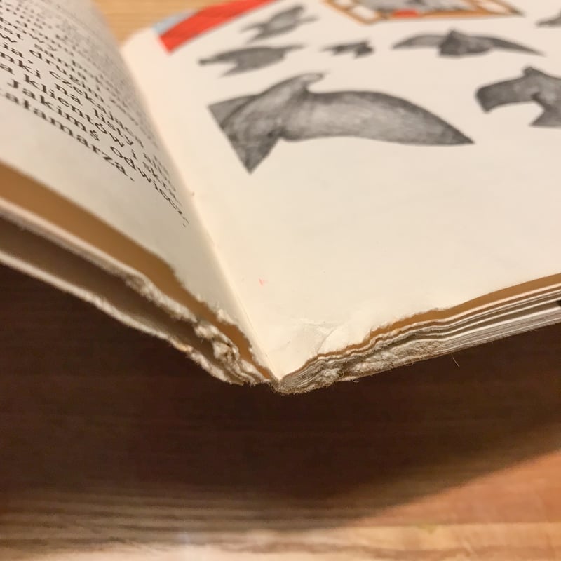 洋書 akim Amazon.co.jp: Akim : errances juvéniles : 本