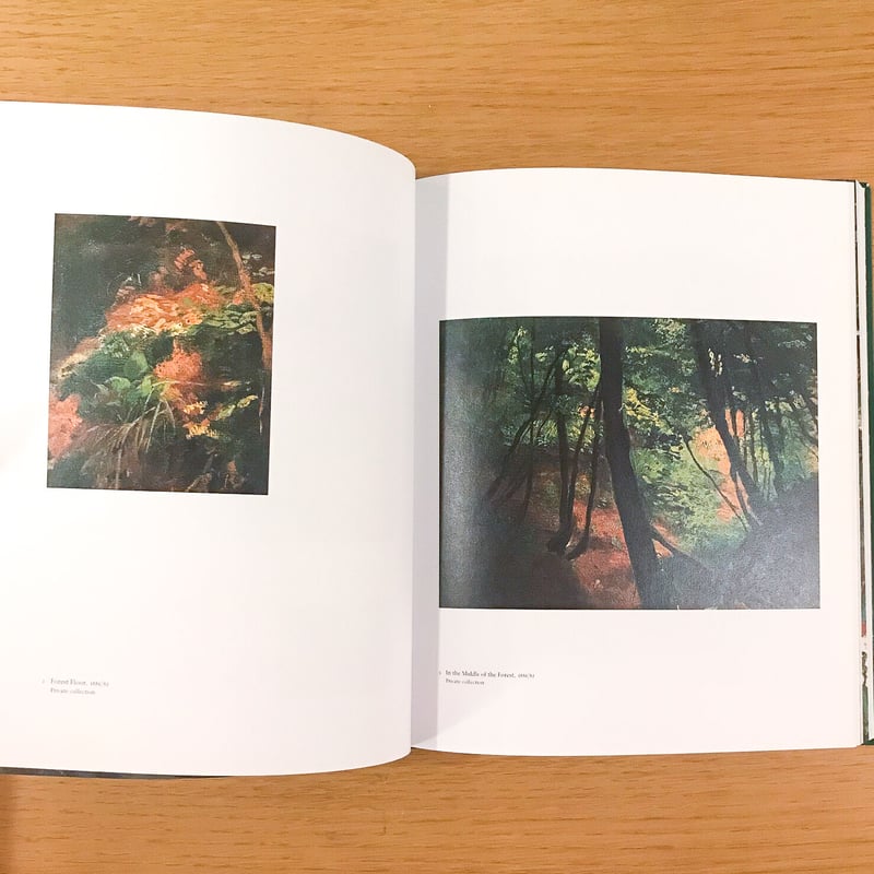 クリムト　風景画集　洋書、大判ハードカバー クリムト 風景画集 洋書、大判ハードカバー Gustav Klimt