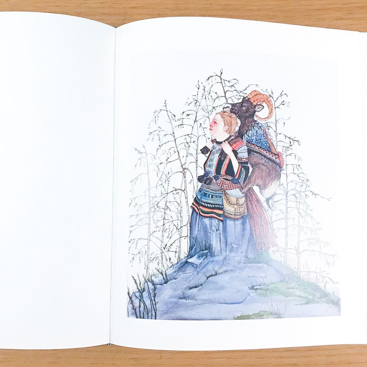 Amy Cutler Turtle Fur | タバネルブックス