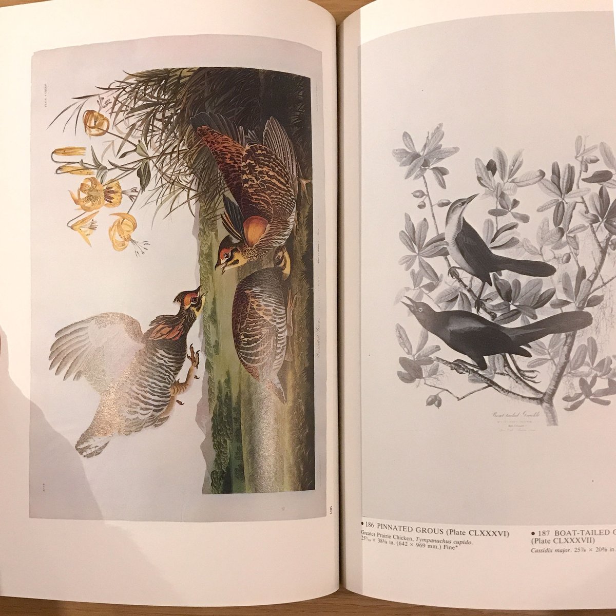 John James Audubon: The Birds of America Christ...