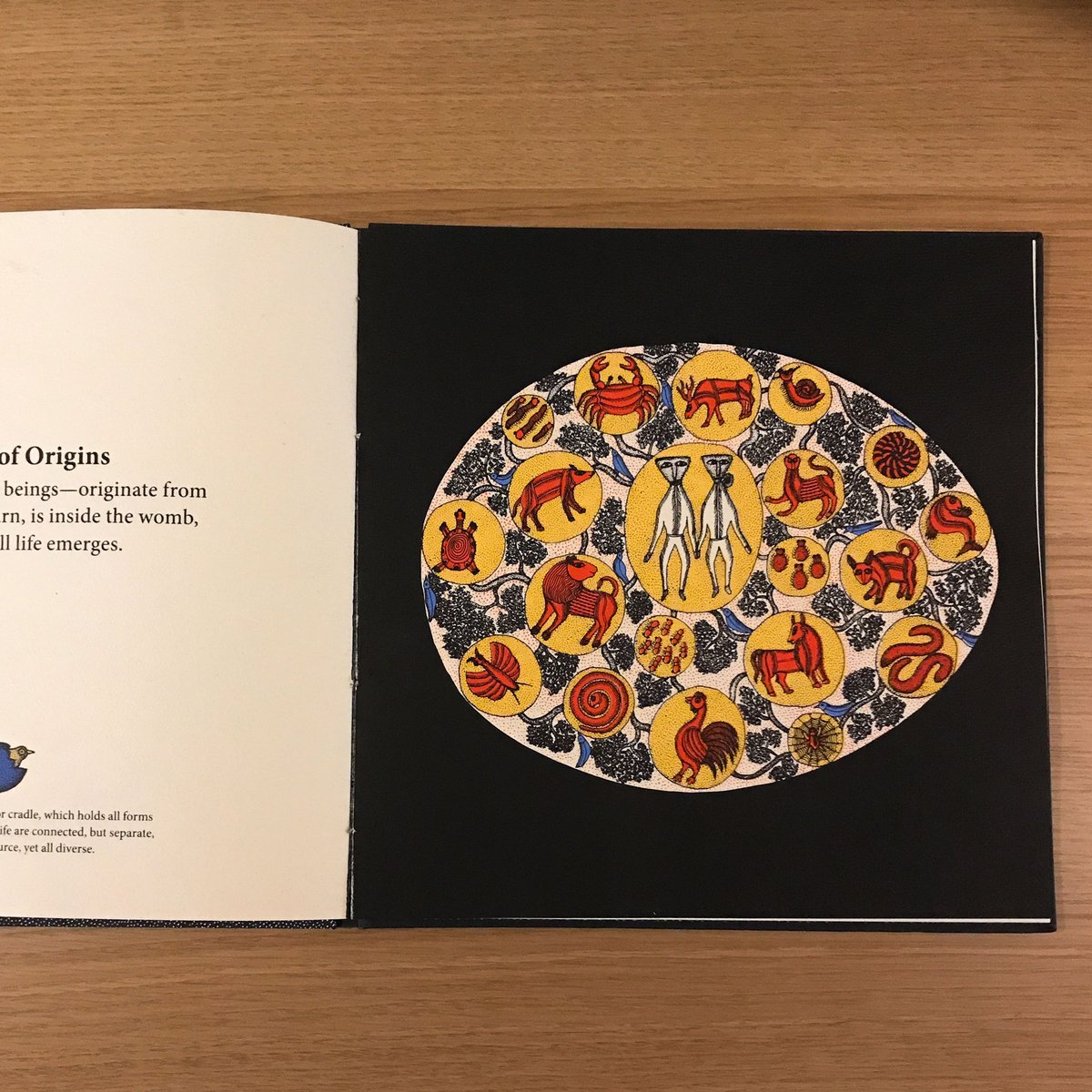 タラブック Creation 英語版 Creation | タバネルブックス