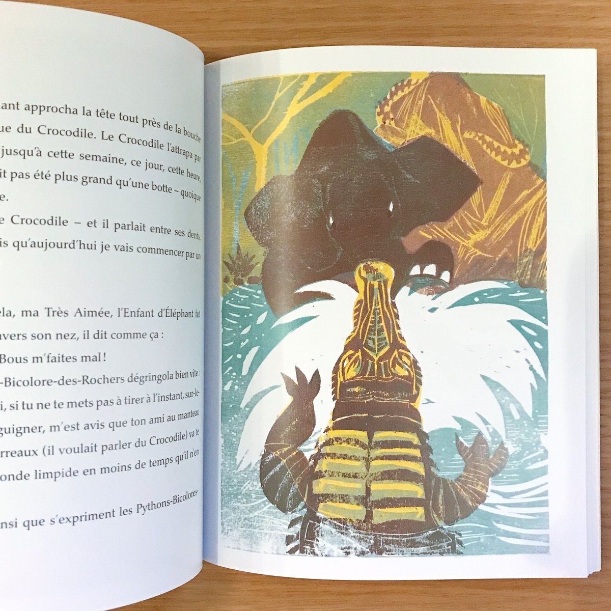 Un Elephant dans la main 幼児用絵本　洋書 Un Elephant dans la main 幼児用絵本 洋書 海外ブランド Un