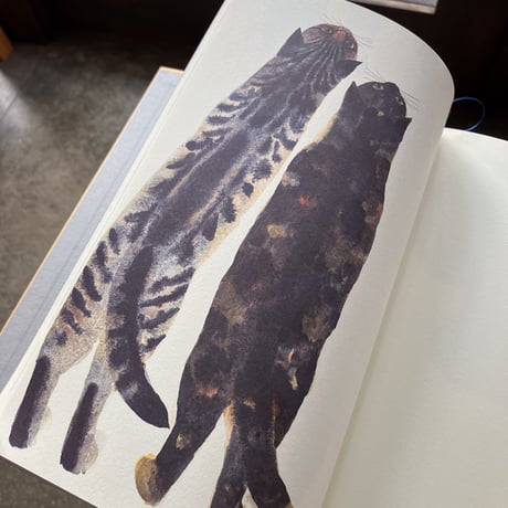 SABINKA A MAKULKA 出久根育作品集