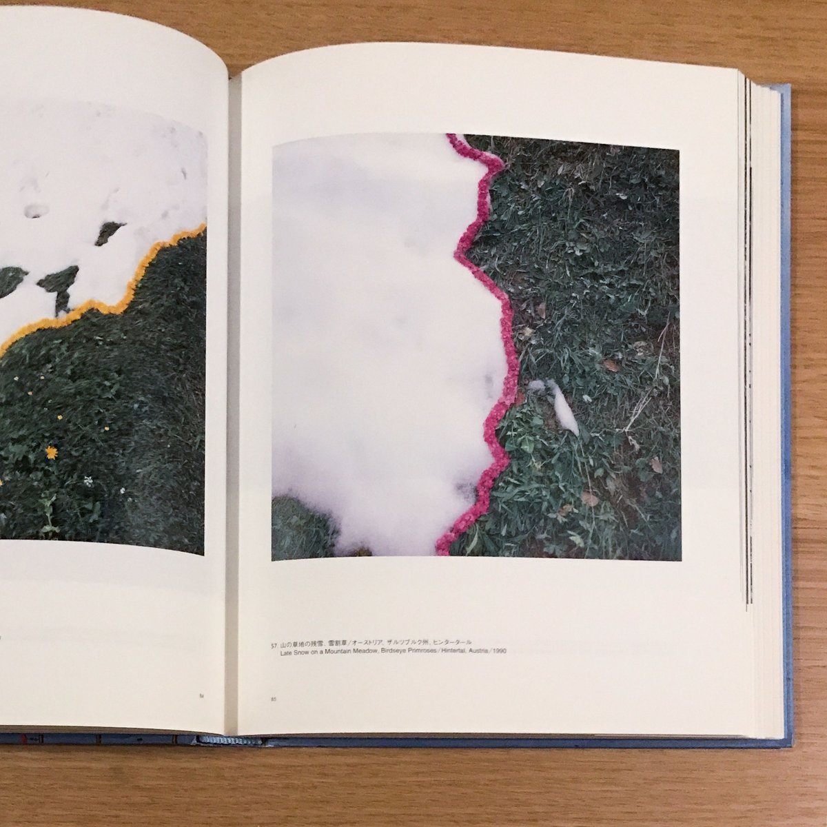 NILS-UDO ニルス・ウド Towards Nature 自然へ 現代美術 ニルス＝ウド