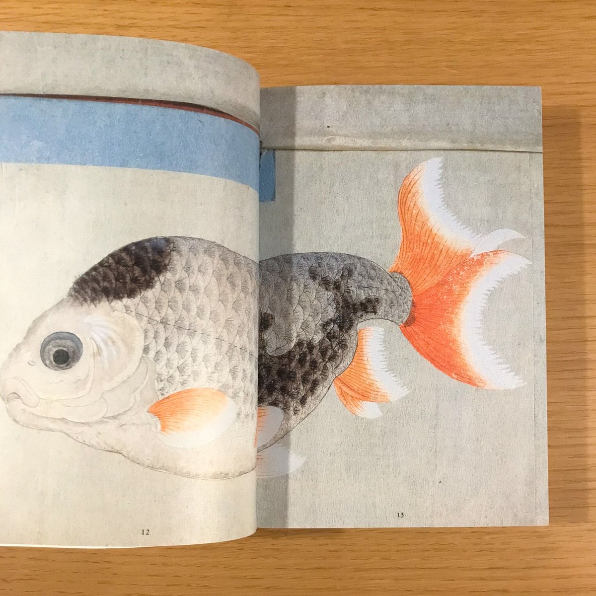 きんぎょ | タバネルブックス