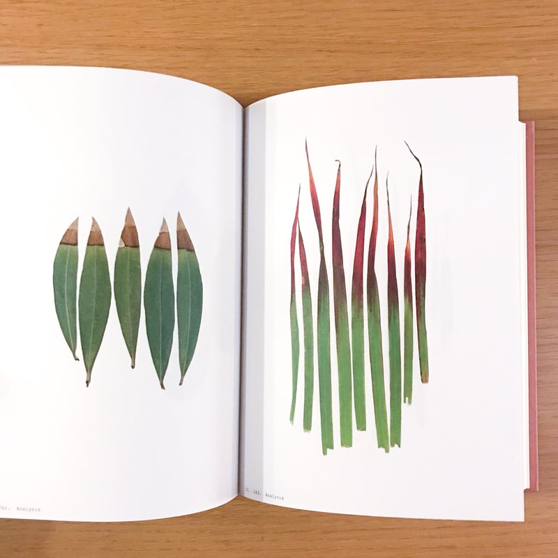 THE UNCLE BOOK アンクルブック1〜3巻セット 植物 おじ本 アンティークブック古書 児童書 UNKLE REMUS リーマスじいや