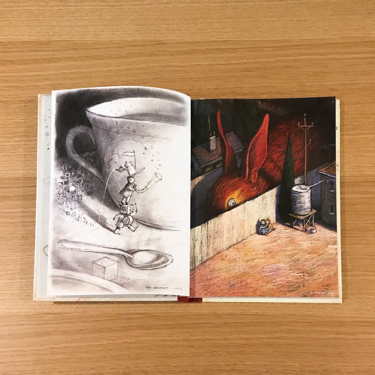 The Bird King: An Artist's Notebook | タバネルブックス