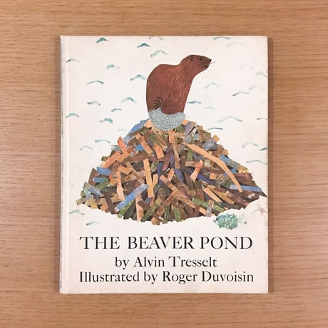 THE BEAVER POND