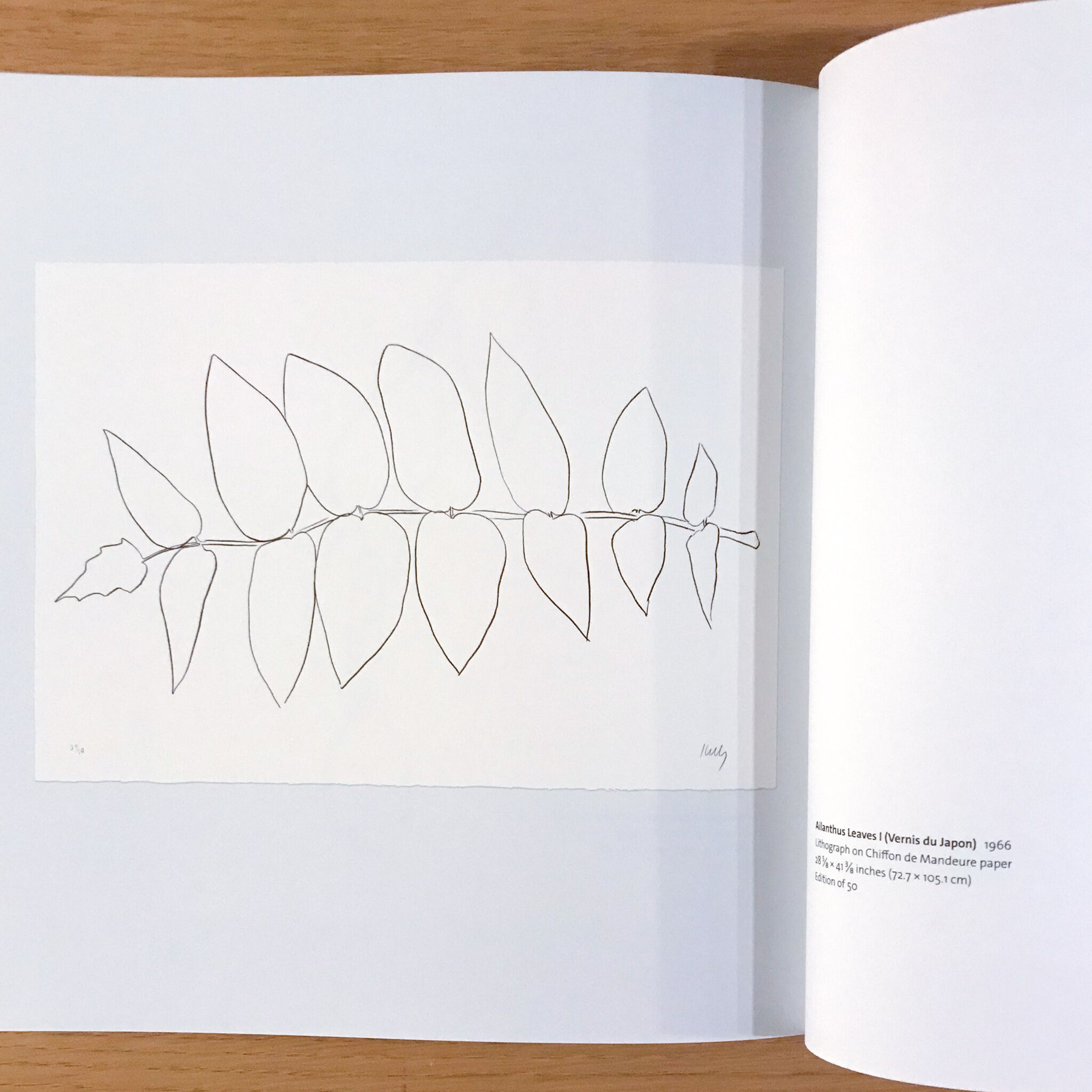 Plant Lithographs Ellsworth Kelly | タバネルブックス