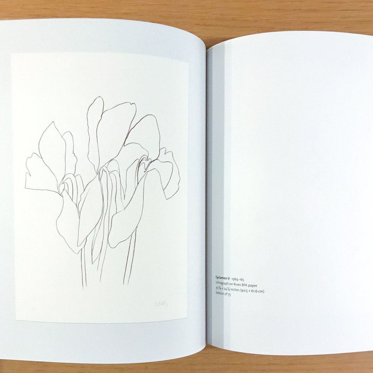 エルズワース・ケリー　リトグラフ エルズワース・ケリー リトグラフ サイン 限定125 《無題 (A