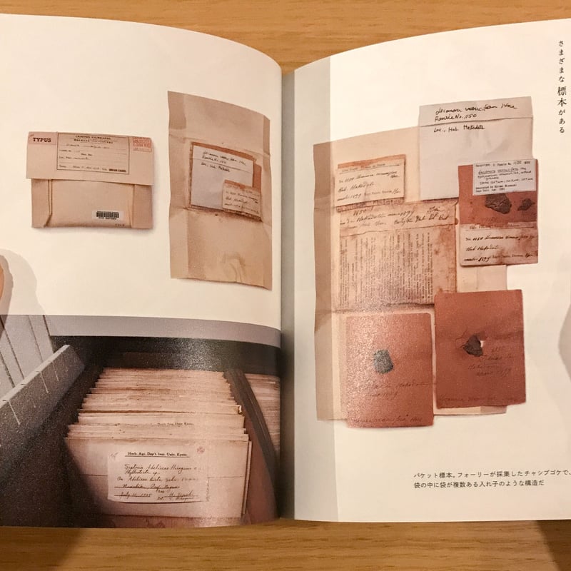 標本の本 | タバネルブックス