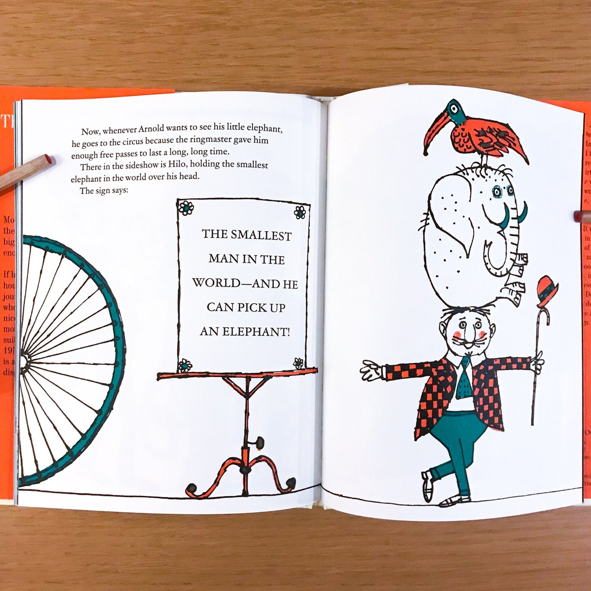 The Smallest Elephant in the World | タバネルブックス