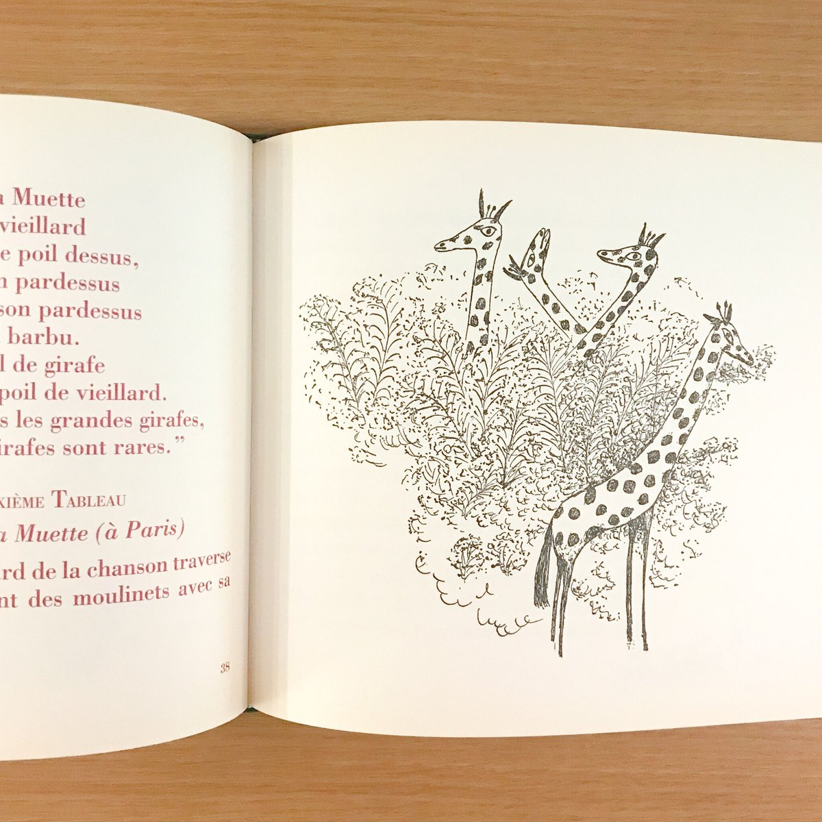 Contes pour enfants pas sages | タバネルブックス