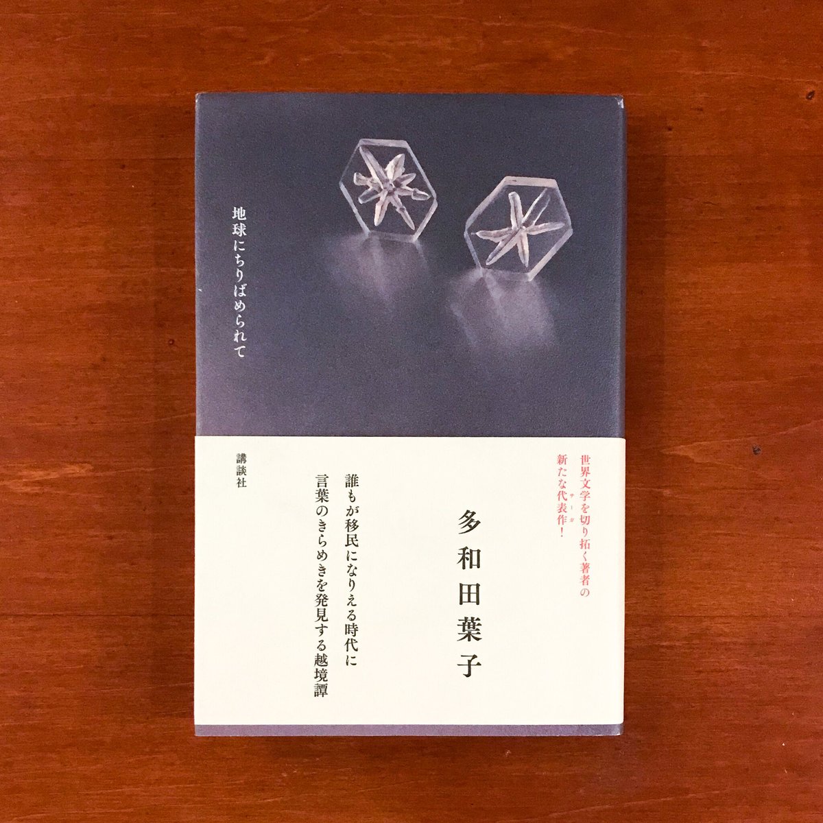 地球にちりばめられて | タバネルブックス