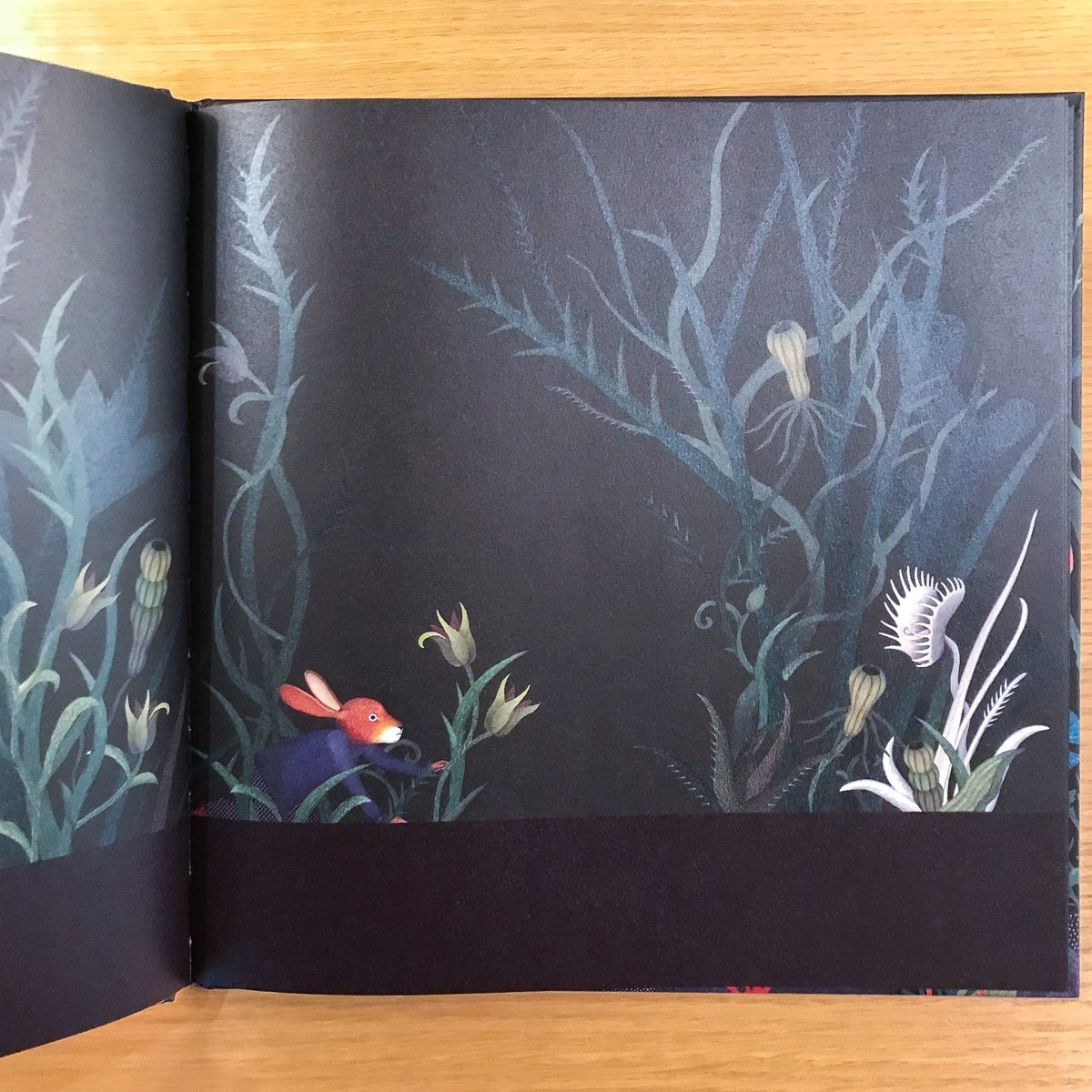 【ヒナギク】 BOOK イッタラブック 140周年記念 IITTALA BOOK イッタラブック 140周年記念 - メルカリ