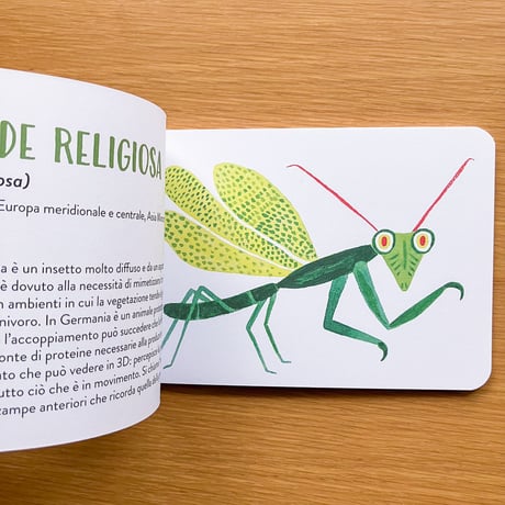 Il piccolo libro degli animali verdi