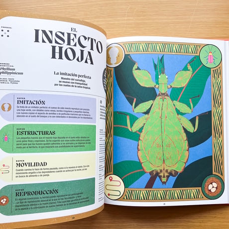 Superpoderes de los insectos