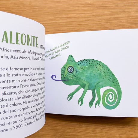 Il piccolo libro degli animali verdi