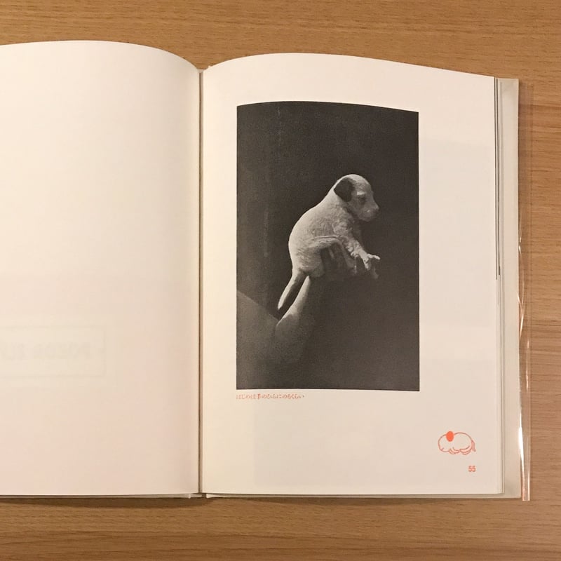 【稀覯本】カレル・チャペック著『ダーシェンカ』Dášeňka 1946年版 m36894547258_1.jpg?1604923865