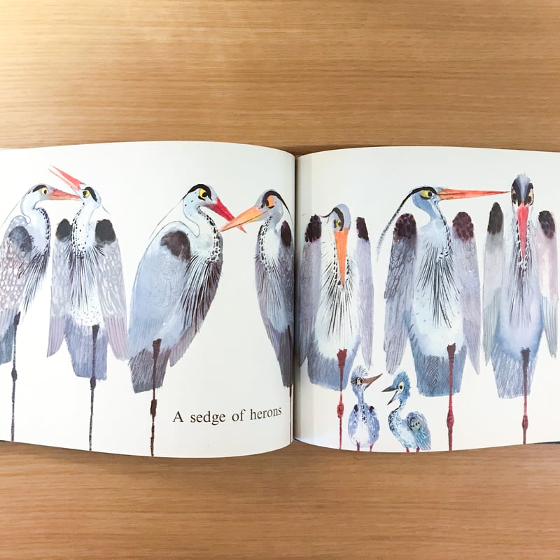 絵本セット 19冊 Birds by Brian Wildsmith | タバネルブックス