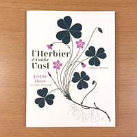 L’herbier, petite flore  des bois d’Europe