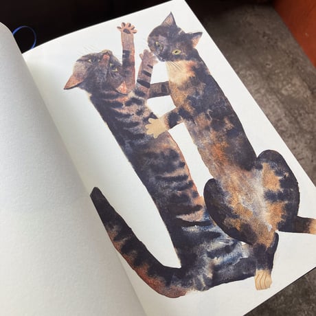 SABINKA A MAKULKA 出久根育作品集