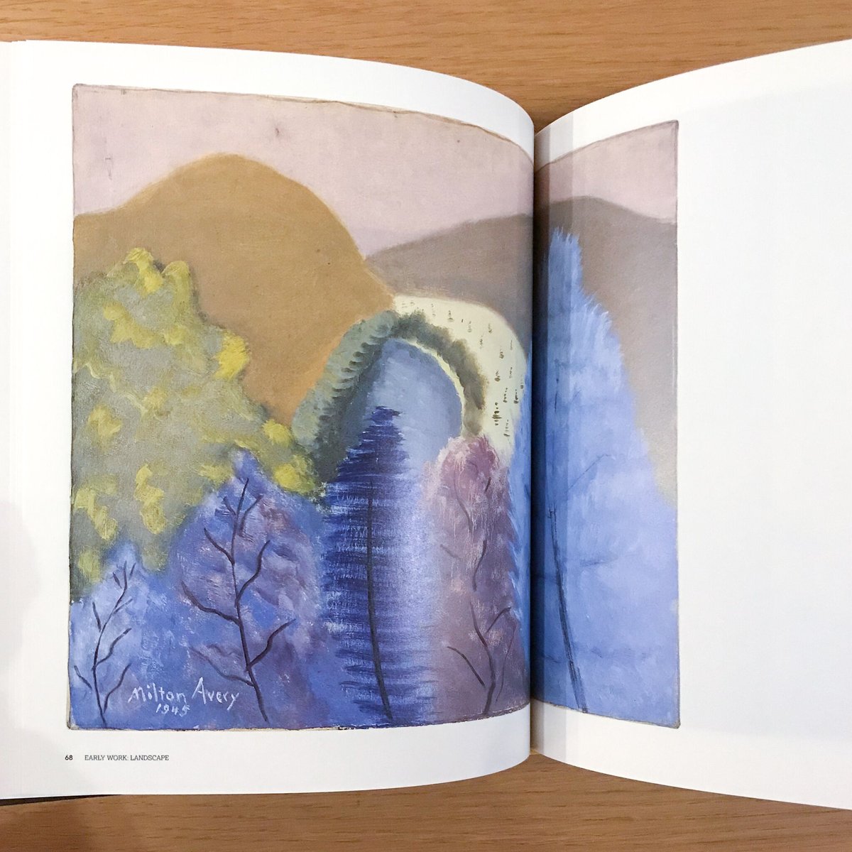 Milton Avery ミルトンアベリー 豪華図録 ミルトン・エイヴリー
