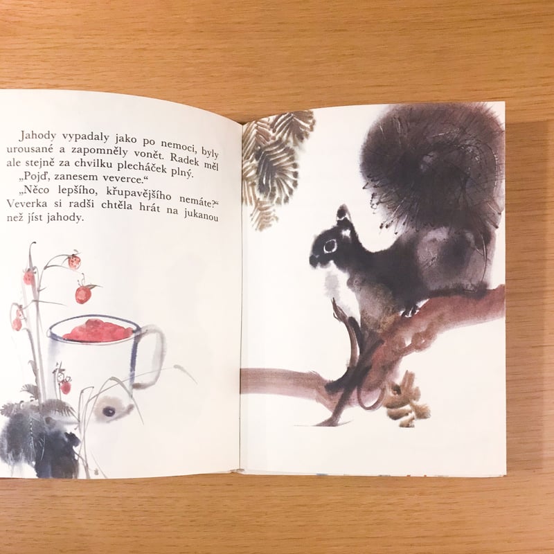 Neulet, ptacku/1981年 Mirko Hanak 【公式通販】