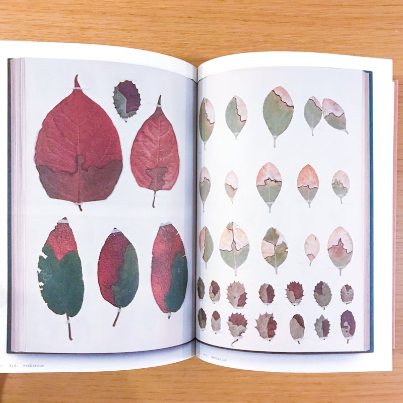 The Book of Plants | タバネルブックス