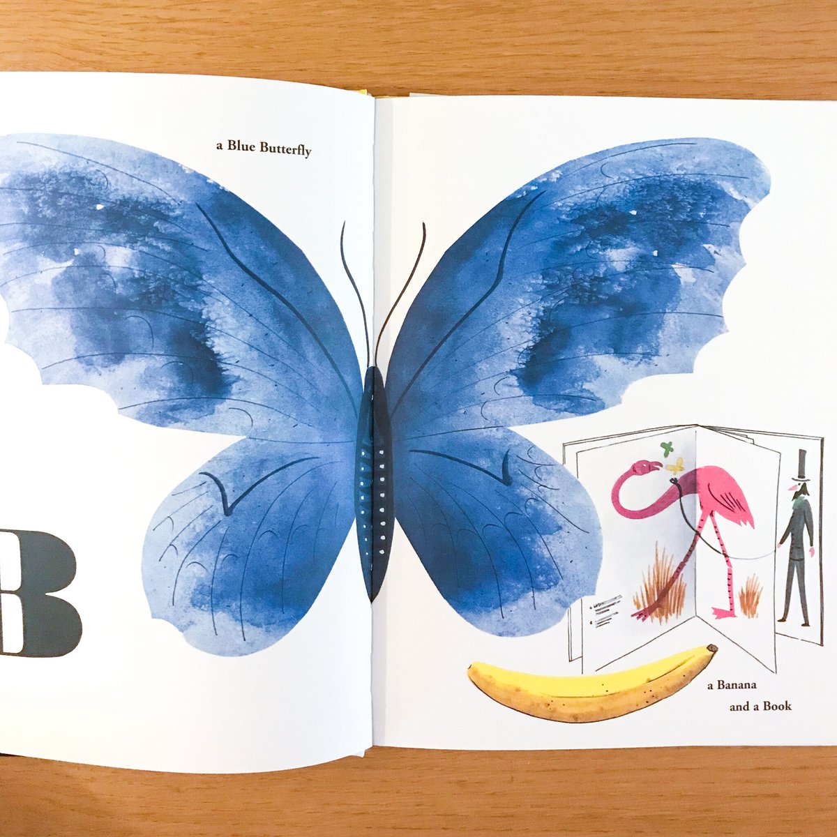 Bruno Munari's ABC | タバネルブックス