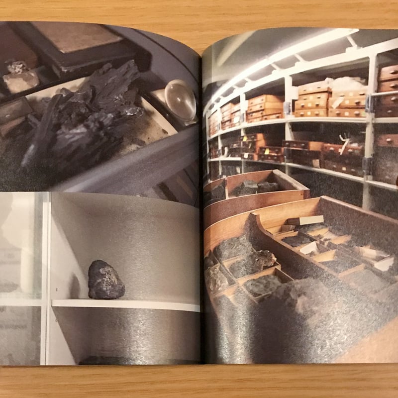 標本の本 | タバネルブックス