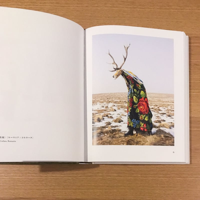 WILDER MANN | タバネルブックス