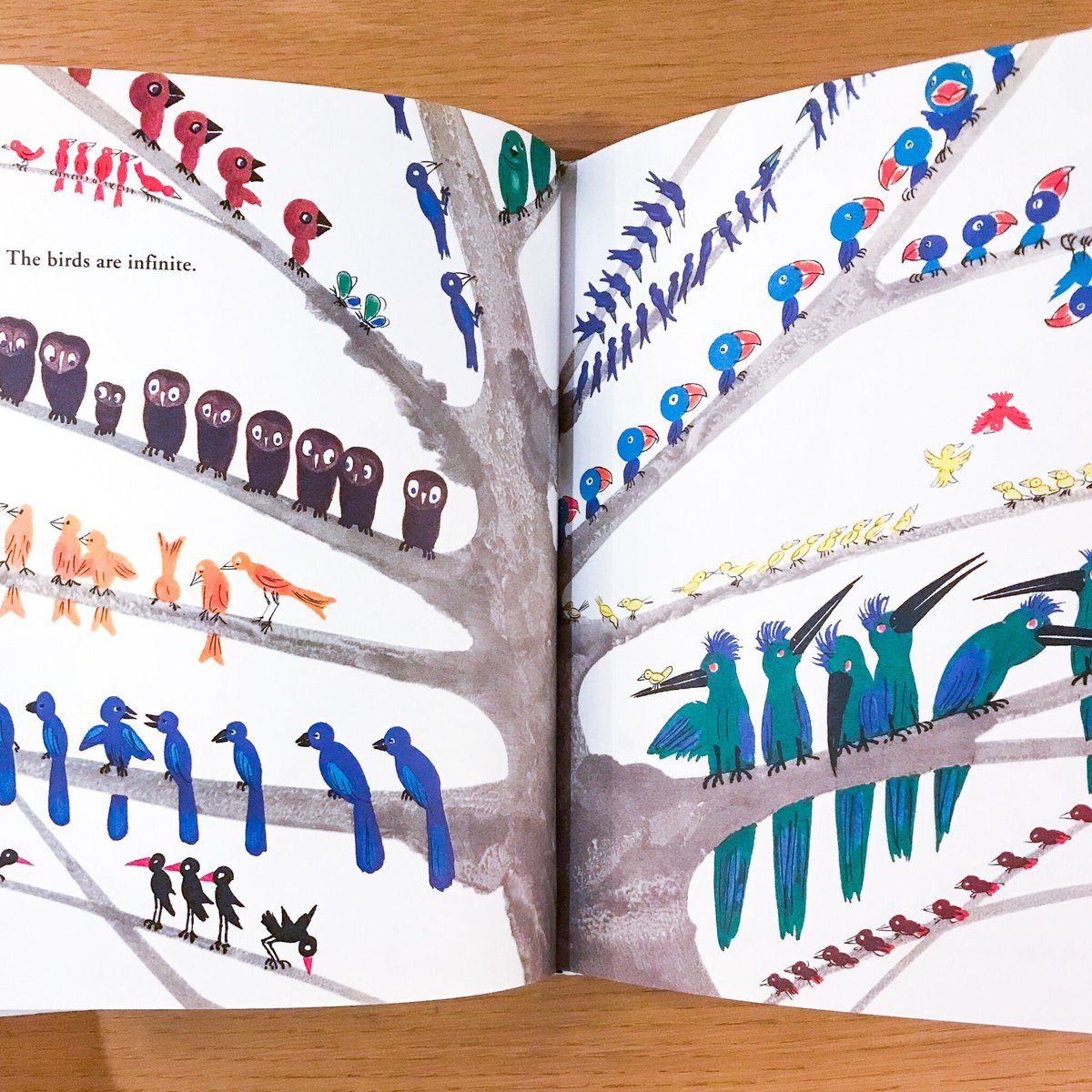 Bruno Munari's Zoo | タバネルブックス